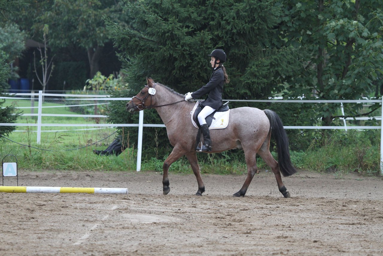 Bild 256 - WBO-Turnier am 18.9.11